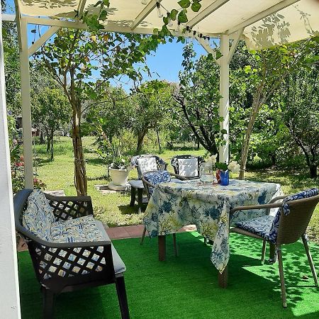 Tom E Jerry Bed and Breakfast Domus De Maria Esterno foto