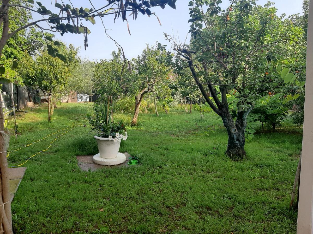 Tom E Jerry Bed and Breakfast Domus De Maria Esterno foto