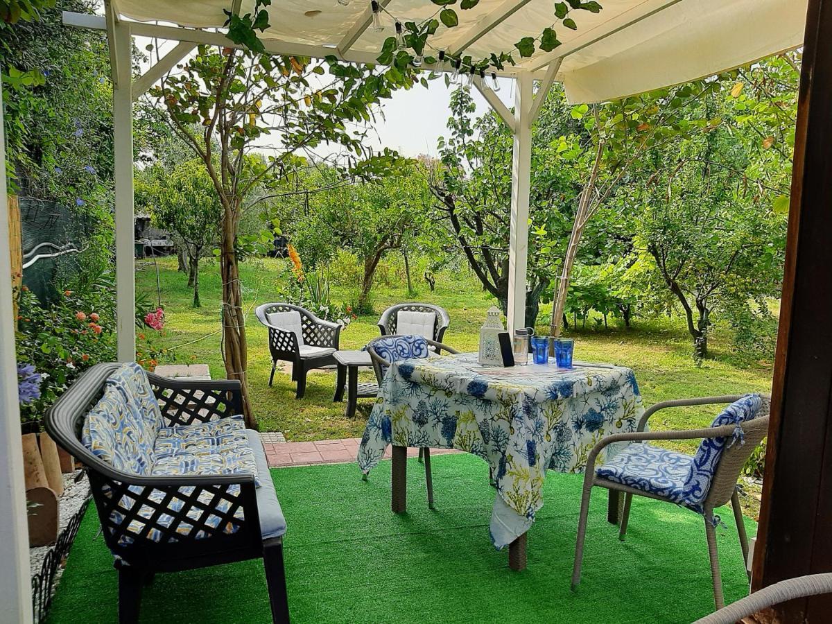 Tom E Jerry Bed and Breakfast Domus De Maria Esterno foto