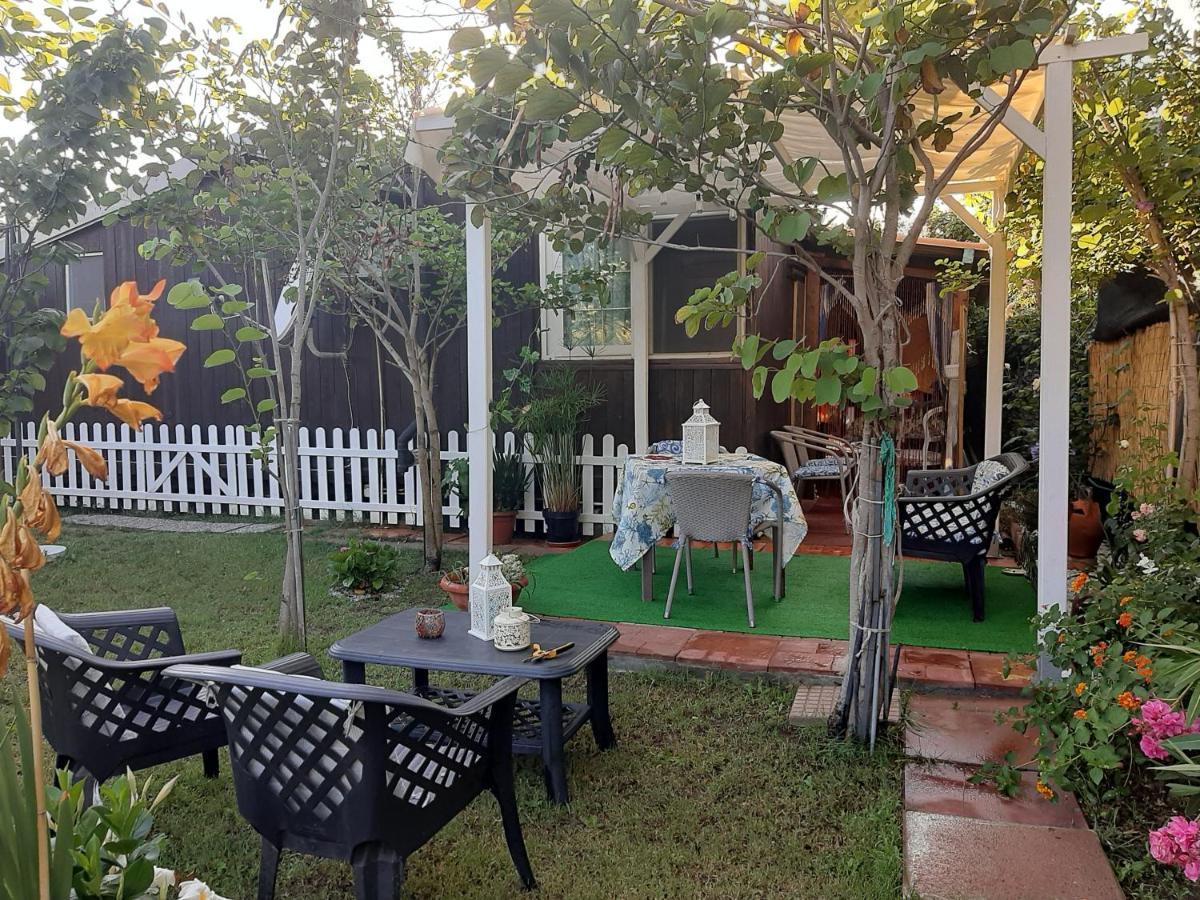 Tom E Jerry Bed and Breakfast Domus De Maria Esterno foto
