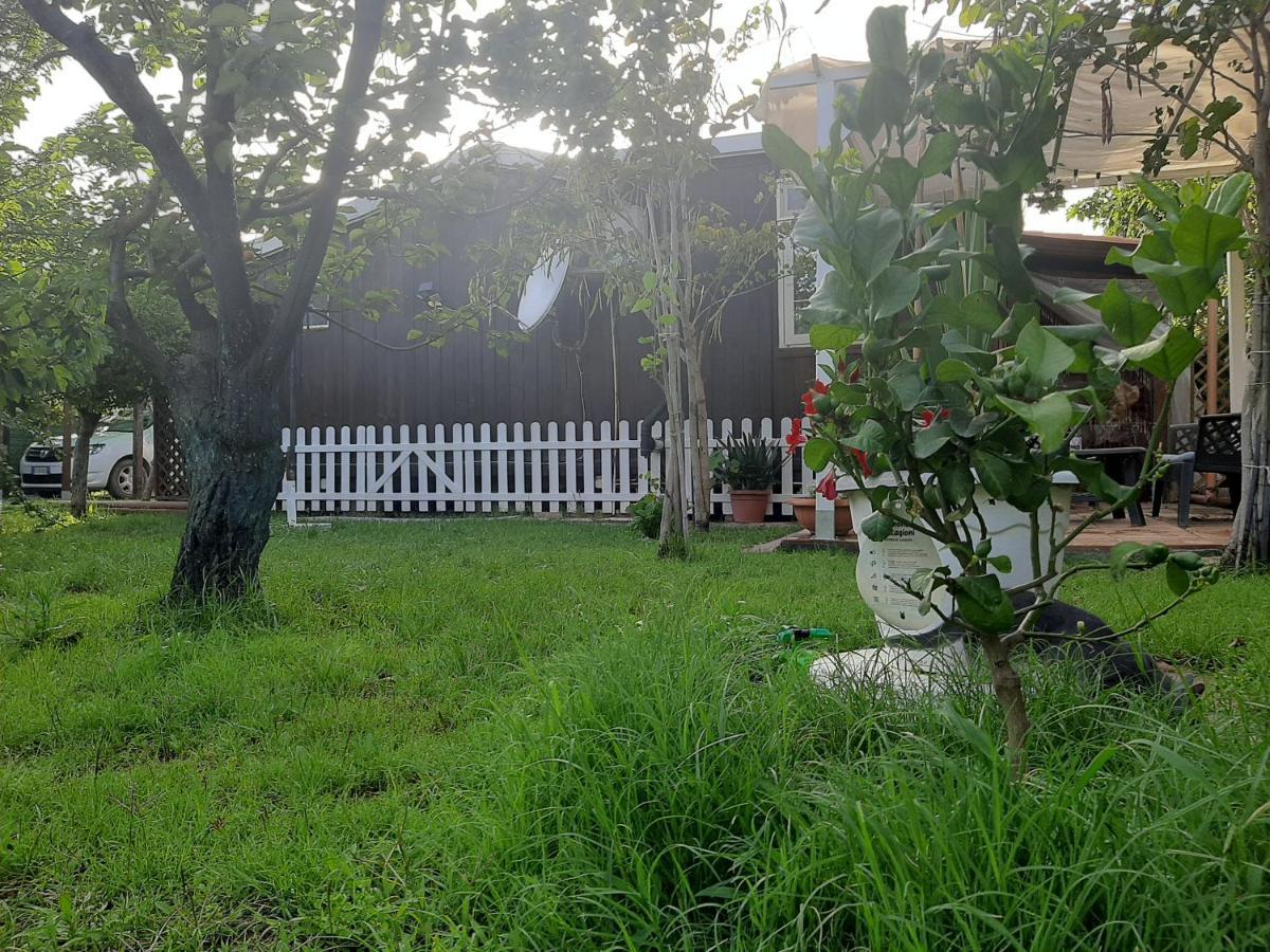 Tom E Jerry Bed and Breakfast Domus De Maria Esterno foto