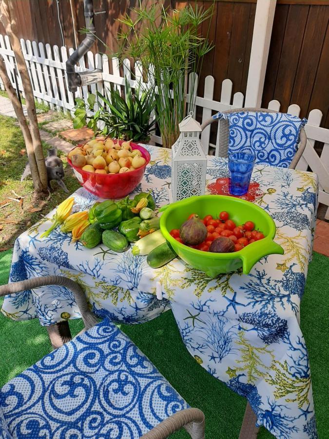 Tom E Jerry Bed and Breakfast Domus De Maria Esterno foto