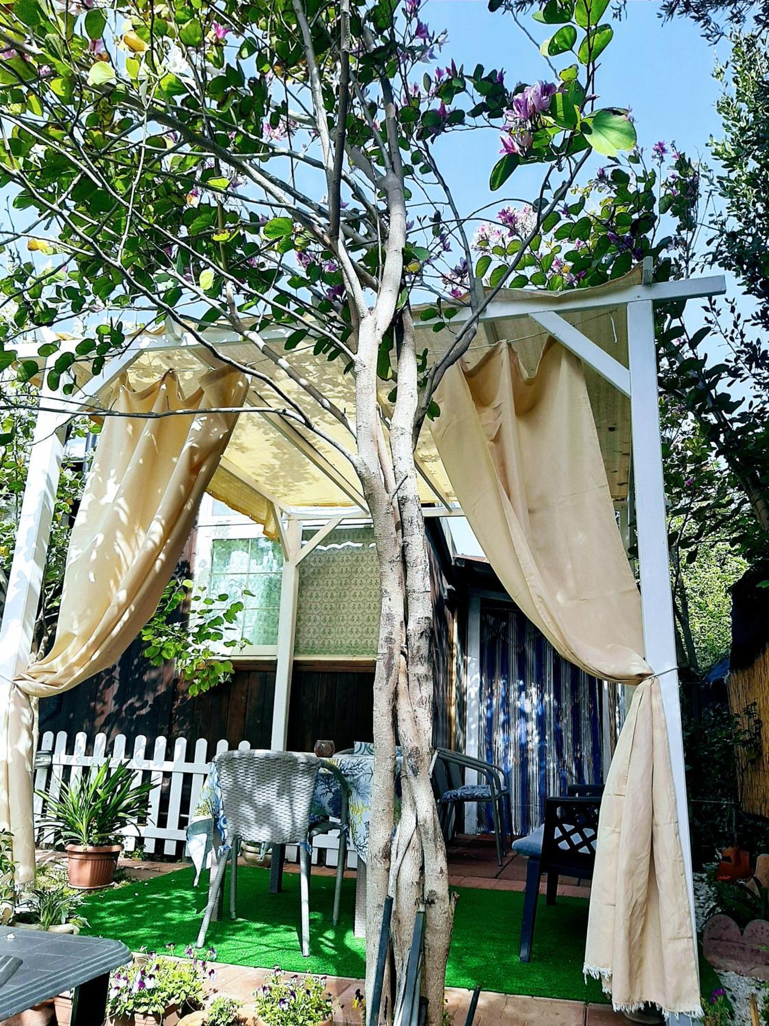 Tom E Jerry Bed and Breakfast Domus De Maria Esterno foto